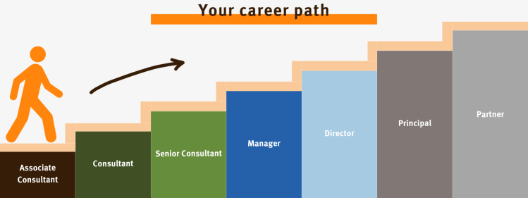 Your career path at Executive Insight